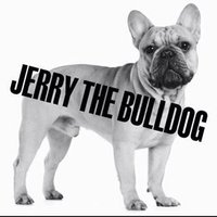 JerrytheBulldog(@BulldogJerrythe) 's Twitter Profile Photo