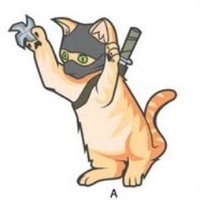 Tim A (@volconage) 's Twitter Profile