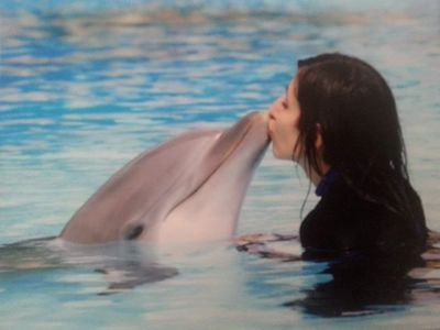 AlmudenaAve's profile picture. PhD. Enfermera coordinadora de ensayos clínicos
Aprendiendo,  descubriendo y compartiendo