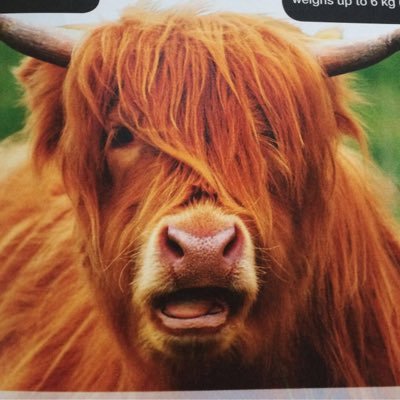 5Cl9H14C's profile picture. Wannabe a unicorn #MoO0o #infosec