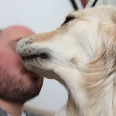 giggslad's profile picture. 