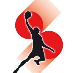 Basketball School of Excellence_linked to Torrelodones Basketball Club.Join us to improve your basketball skills in the best Spanish club for player development