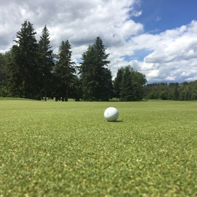 Greens Superintendent at the Royal Mayfair Golf Club in Edmonton, Alberta