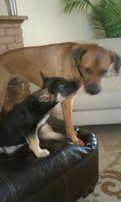 dem_ankles_gone's profile picture. fuck you and your family