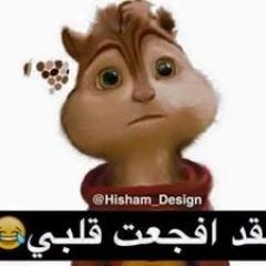 alialiggali999's profile picture. 