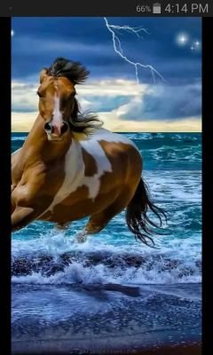 photograf