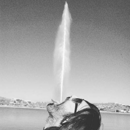 LuskBrad's profile picture. #ScienceTheEarth
Thermophilic microbial electrochemical cells