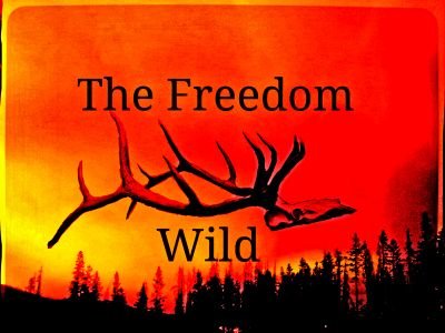 TheFreedomWild Profile Picture