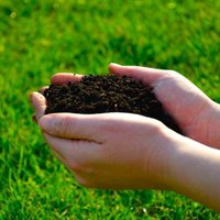 Bioplastiche compost (@compostabili) 's Twitter Profile
