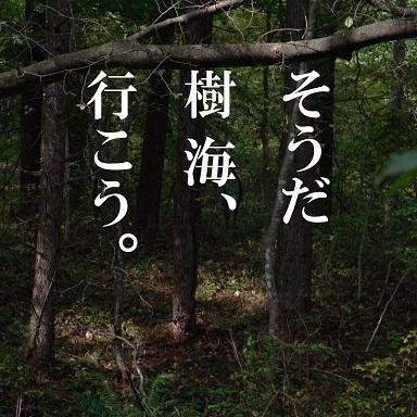 ( ✧Д✧)ｶｯ!!3日以上同じポジ危険！毎月25日はノーポジきめた。どてんの動きにやられること多い。昔は往復ビンタくらっていた。6連続ストップ安初経験 雪と欲は積もるほど道を忘れる。含損より含益のほうが毒性強い。利確出金最強。株価が1円になっても安全なポジを取る。入口大事だけどハイレバ出口失敗すると死亡フラグ即うり