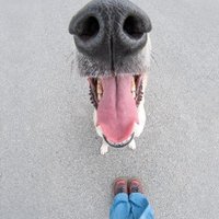 marta b. (@martastress) 's Twitter Profile