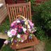 ElsiesFlowerBasket (@elsiesflowers) Twitter profile photo ElsiesFlowerBasket (@elsiesflowers) Twitter profile photo