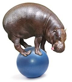 Glennopotimus's profile picture. 60% oxygen, 18% carbon, 22% awesome