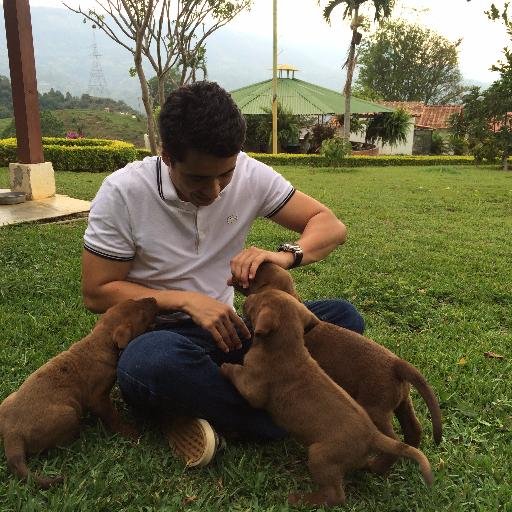 ariostoibanez's profile picture. Psicólogo clínico especialista en necesidades educativas e inclusión.