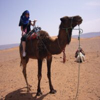 Authentic Tours Marrakech(@toursmarrakech) 's Twitter Profile Photo