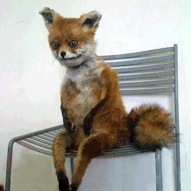 fss9k's profile picture. ...