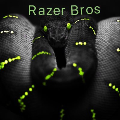 Youtubers. Razer Bros. MonkeySpan and Lynx that's us and were gaming youtubers. We do all types of gaming videos,