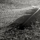 Kelsey Ingram - @tropikel_sea - Twitter