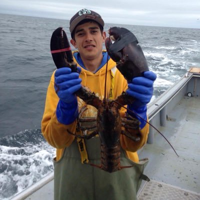 Kotaxmas95's profile picture. 