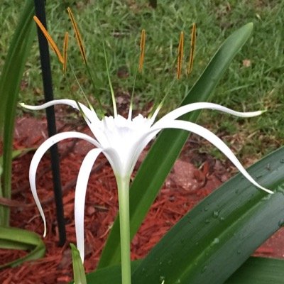 nitanurse4's profile picture. Christian; wife, mom, grandmom! RN. MAGA