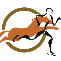 VEminenceForYou's profile picture. Business Solution Software Provider