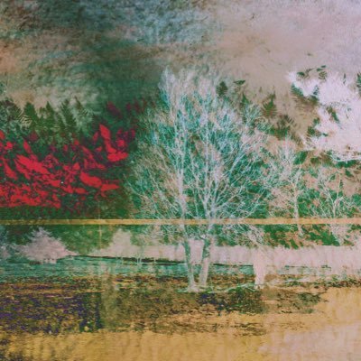 （美品）Ascend Acoustics Sierra-LX Yahoo!オークション - Ascend Acoustics Sierra LX ほぼ新品 エージン