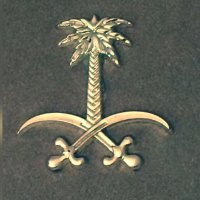 saljan (@salemsmaa) Twitter profile photo