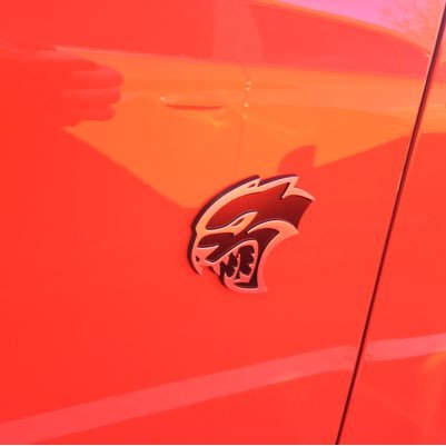 NopeNotMe81's profile picture. just like to have fun! love it all!! preferences for mature women, bbw, couples, groups, kink, taboo, TS/TG, big cocks, interracial ...anyone is free to DM