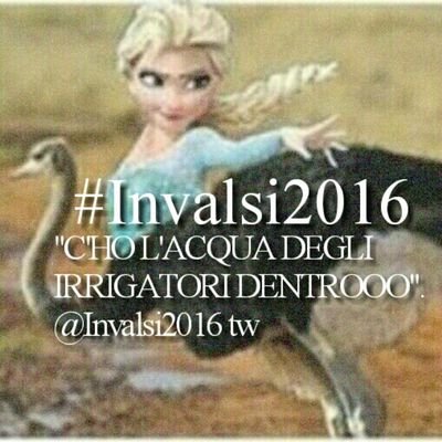 uno struzzo, un unghia quadrata, un irrigatore problematico, delle mollette bastarde,lavatrici inesisti,il misterio di un'amore tormentato ed Elsa. #invalsi2016