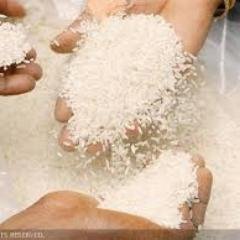 PanashExports's profile picture. We are Exporters of Rice (Basumati & Non Basumati Rice). We believe in Quality and Customer satisfaction.