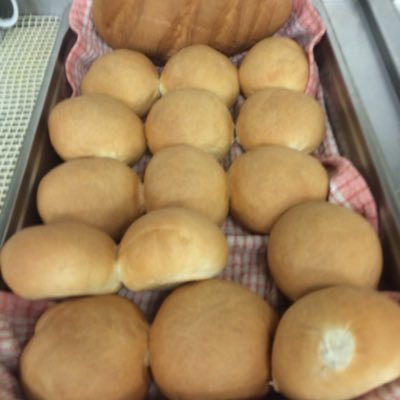 1onely's profile picture. survivor of terminal cancer 14 years on fighting till the end of time a follower of Everton FC battler of the English Premier League