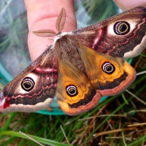 NatureNorthWest is a nature education provider based in the North West of Ireland.