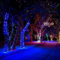 احمد الكندري (@bo__shaaab) Twitter profile photo