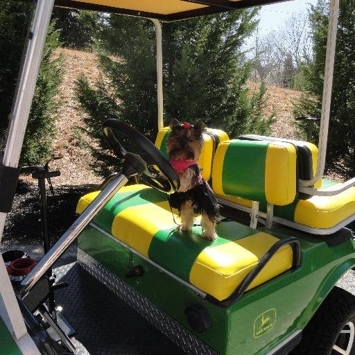 We sell used golf carts and service most makes and models. We also customize and offer a wide range of parts and accessories.