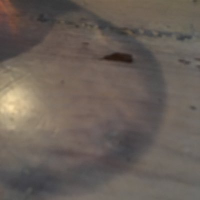 theadamworkman's profile picture. no