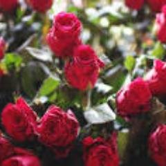 i am deepak chahal .B.tech from civil department and now doing MBA
