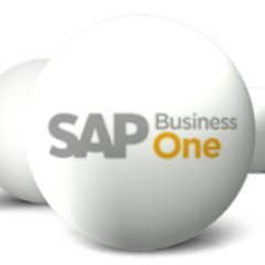 New Horizons Cybersoft pvt ltd Provides Sap Business One, TRM Billing , Sap All In One Implementations and solutions Services to small and mid-sized businesses