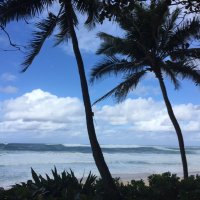 Michelle Lester (@michelleclester) 's Twitter Profile