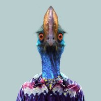 Cairns & Great Barrier Reef (@cairnsgbr) 's Twitter Profile