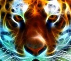 jenbreckesch's profile picture. God, Family, Friends, Baseball & LSU! GEAUX TIGERS!!! ⚾