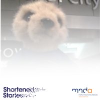 Mo LeCule (@mo_mnd) 's Twitter Profile