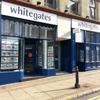 Whitegates Wolves (@whitegateswolve) 's Twitter Profile