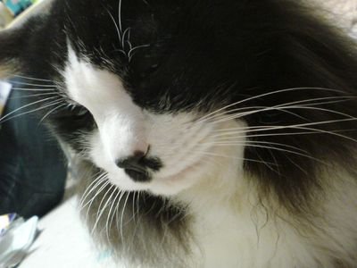 kcosassy's profile picture. テニスばっかりやってるテニス馬鹿。