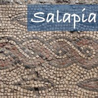 OpenSalapia (@opensalapia) 's Twitter Profile Photo OpenSalapia (@opensalapia) 's Twitter Profile Photo
