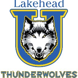 We are the Lakehead Sports Medicine Concussion Clinic located in Thunder Bay, ON.  #returntolife