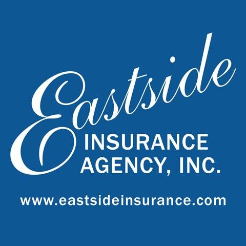 MISSION STATEMENT

Eastside Insurance Incorporated is dedicated to providing the best insurance protection at the most reasonable price.