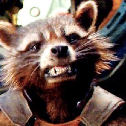 Ain't no thing like me, except me ! Rockect Raccoon Bot TH/ENG | GOTgalaxy