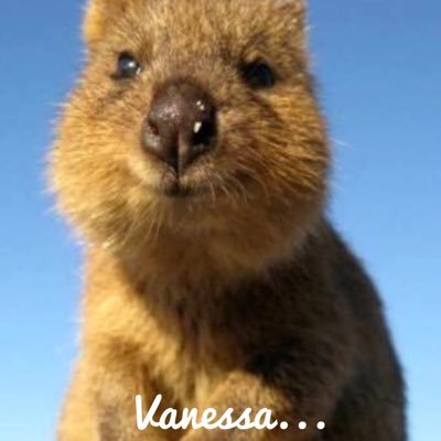 Just an Aussie gal making my way through this life...My Hubby, Family, friends & dogs make my world a very happy place ❤️ My name is Vanessa #HSP #cptsd