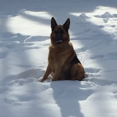 BavisMichael's profile picture. 
