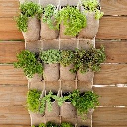 verticalherbs's profile picture. Happy Herb & The Spice Gals is an outdoor, vertical hanging canvas planter that will be available March 2017. https://t.co/XkAGVxeVIE